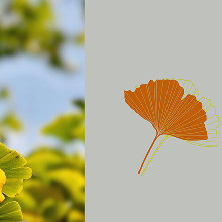 深圳logo設計作品案例展示