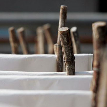 深圳logo設計作品案例展示