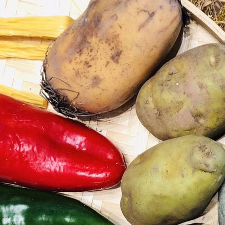 如何建立一套一致的VI設計系統?