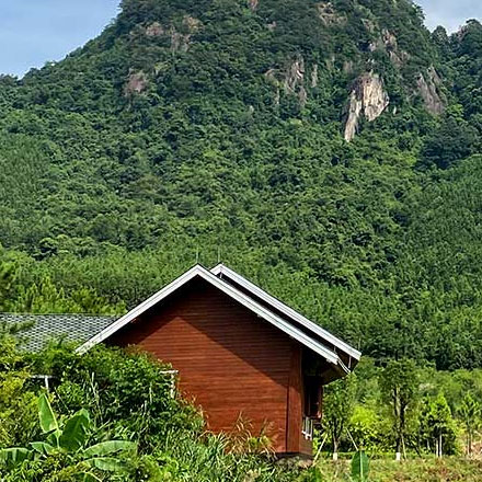 深圳vi設計作品案例展示